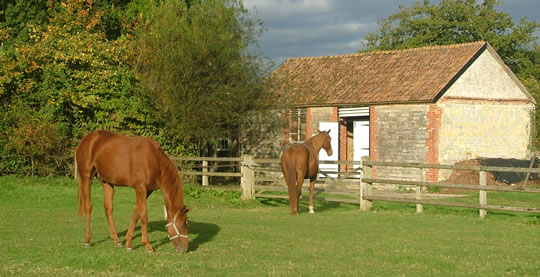 Folly Farm